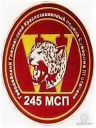 245 мотострелкового полка. 245 мотострелкового полка. 245 мсп шеврон. Шеврон 245 мотострелкового полка мулино. 245 мсп шеврон.