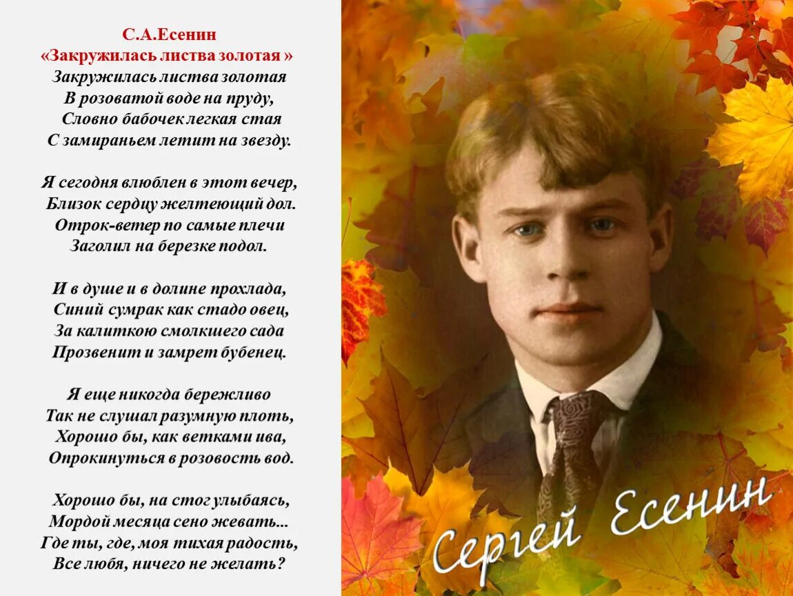 Есенин радость. Сергей есенин листва золотая. сергей есенин закружилась листва золотая. сергей есенин — закружилась листва. евгений есенин.