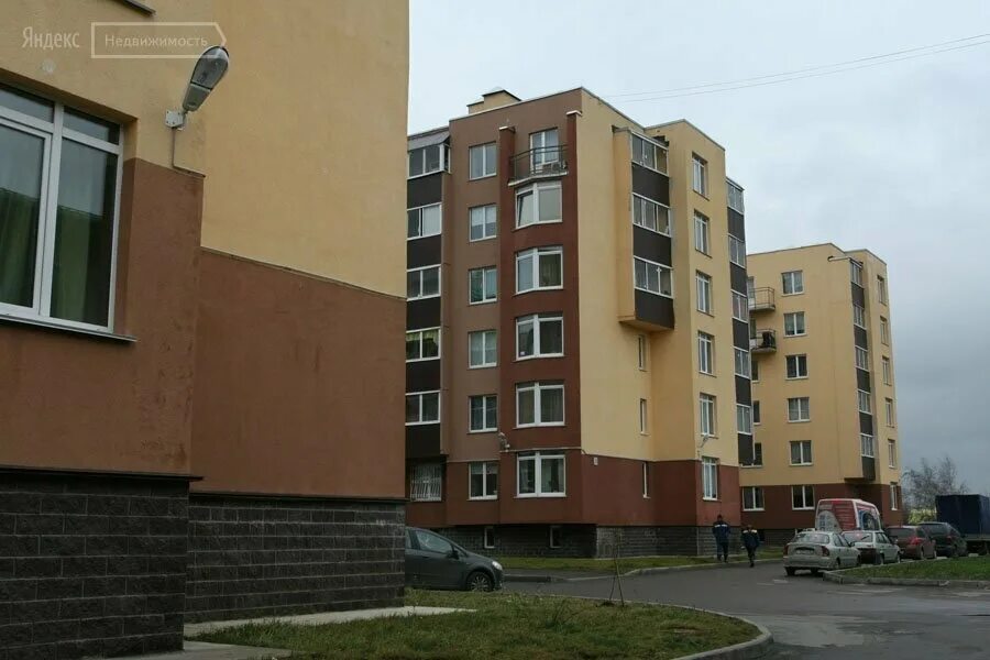 жк малое карлино. снять квартиру в малое карлино ленинградская. деревня малое карлино. квартира на 3 человека фото. малое карлино, 4ак1, 19, 3 этаж.