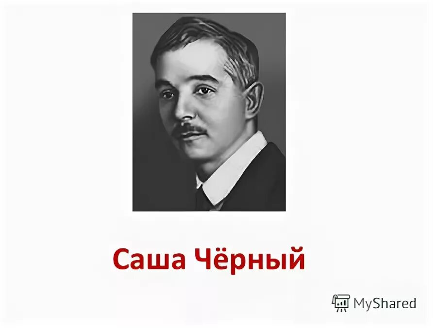 Саша черный план