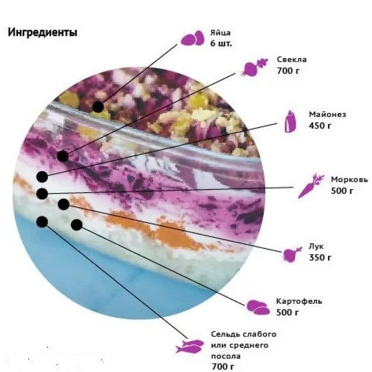 Шуба слои. Слои селедки под шубой последовательность. Селедка под шубой порядок слоев. Селёдка под шубой слои очередность. Последовательность салата под шубой слои по порядку.