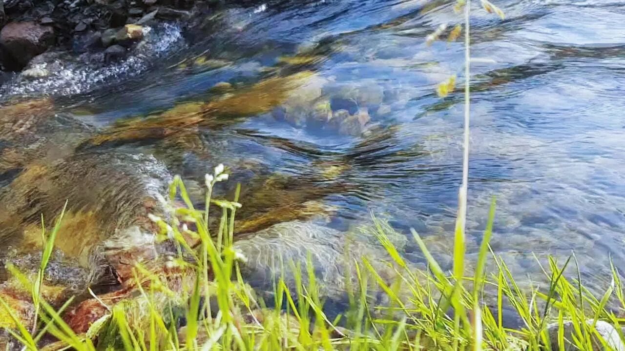 Шум воды ручья. Ручей с дождем. Журчание воды в озере. Журчание ручья и пение птиц. Звуки природы журчание ручейка.