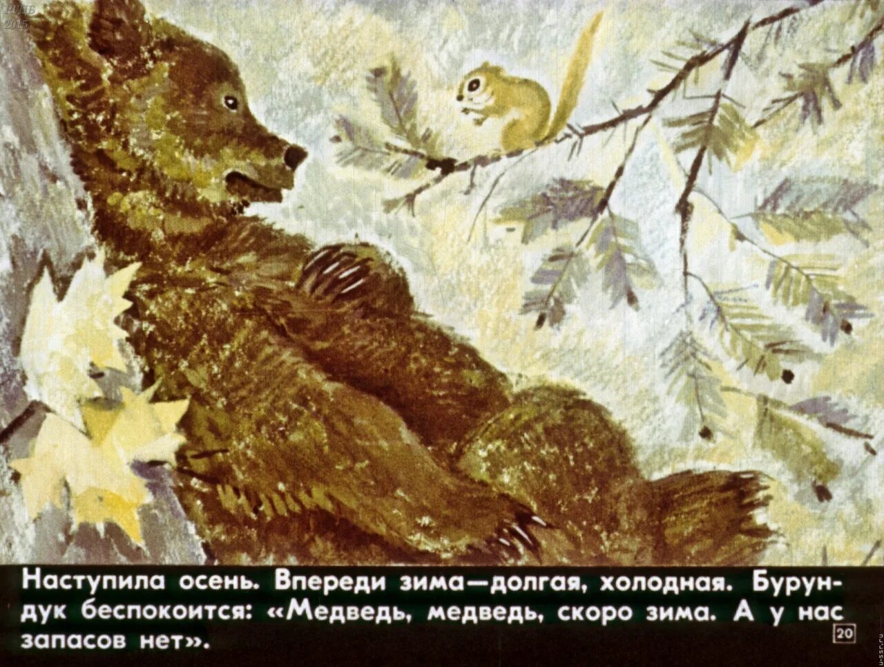 Зиму впереди