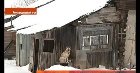 Женщина родила в ведро