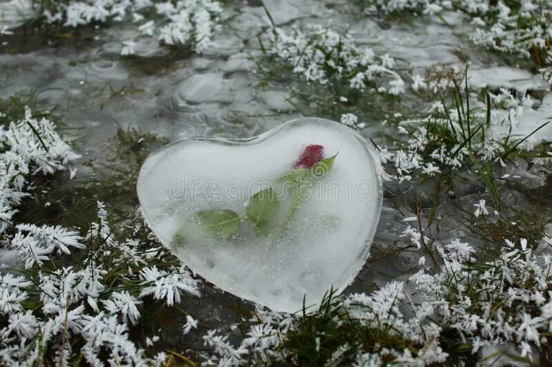 Замерзнет растает замерзнет растает. Тающее сердце во льду. Ледяное сердце тает. Сердце из льда. Замерзшее сердце.