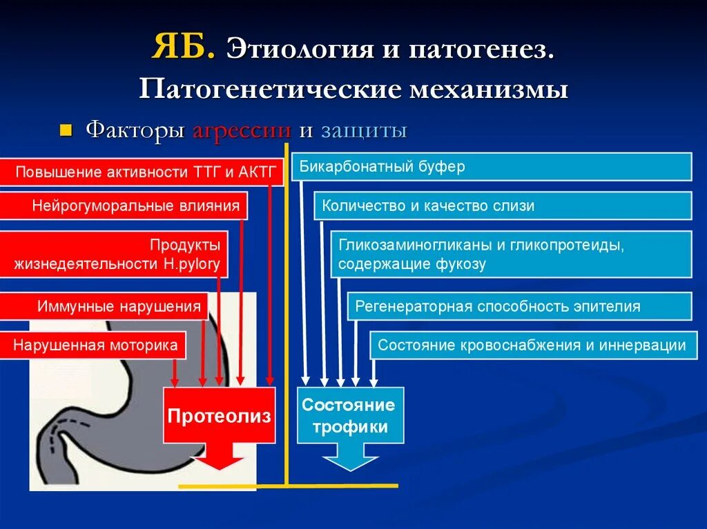 Этиология и патогенез. Взаимосвязь этиологии и патогенеза. Факторы этиология и патогенез. Рожа заболевание патогенез. Патогенез и клиническая картина