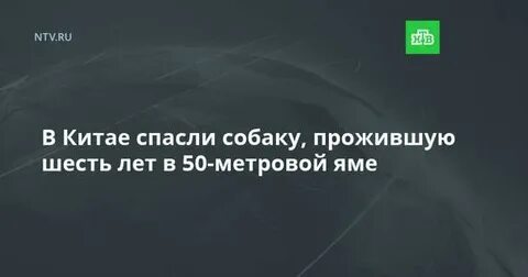 Жили 6