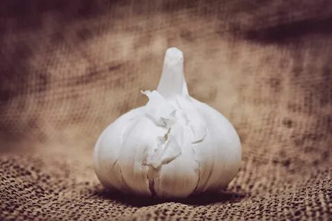 Garlic phone