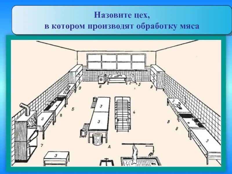 Планировка мясного цеха. Схема мясного цеха. Схема мясного цеха с расстановкой оборудования. Размещение оборудования в мясном цехе. Значение цехов