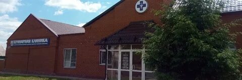Курские бюджетные учреждения