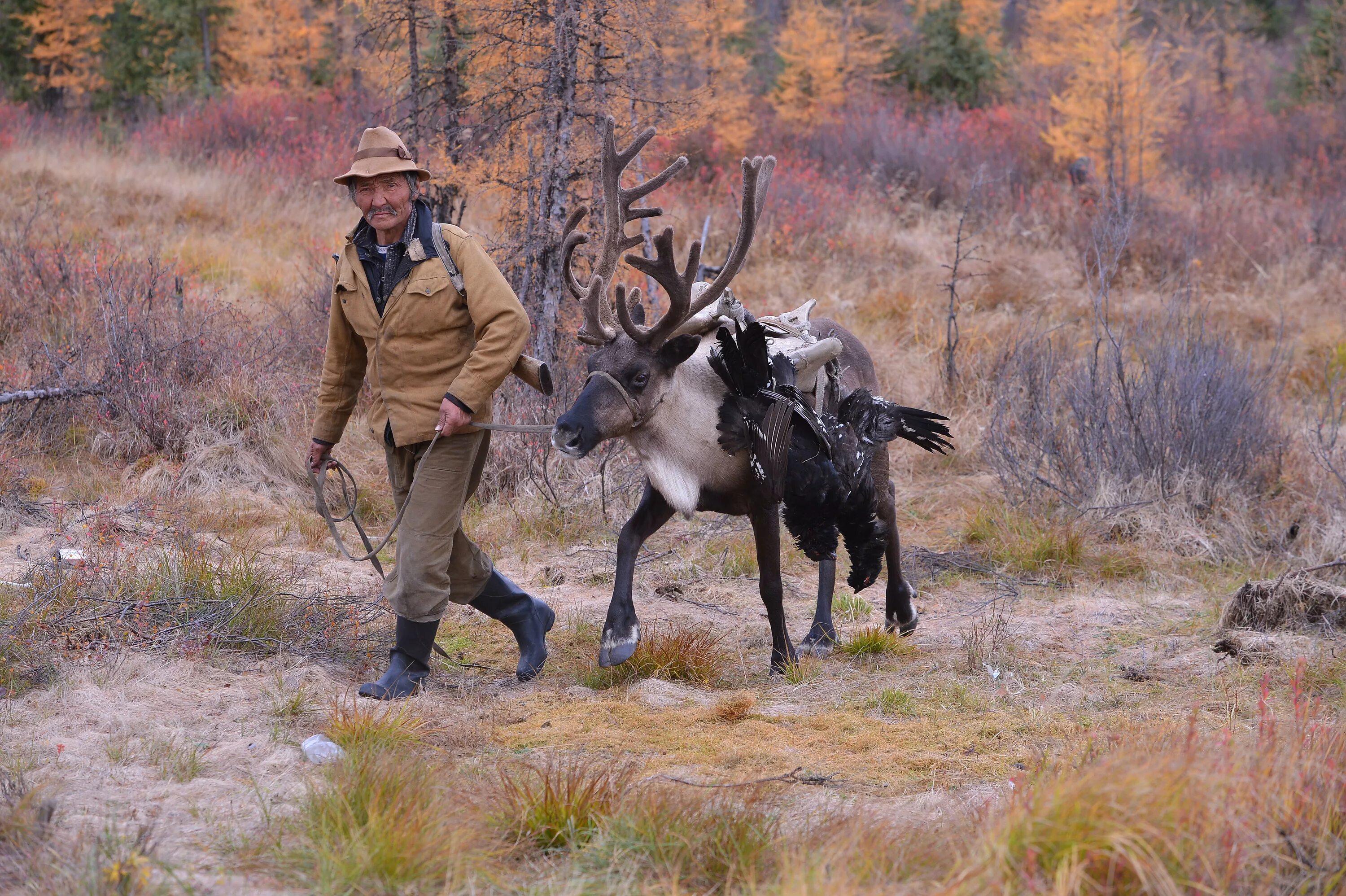 Перевести на русский hunting. Охотник в лесу.