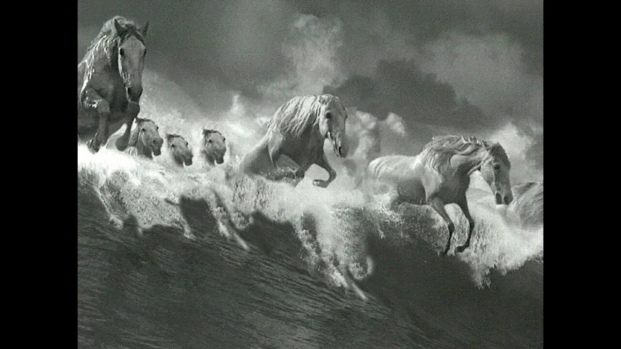 «Лошади в океане» Николая Гусарова. Лошади в океане (1989). Лошадь плывет.