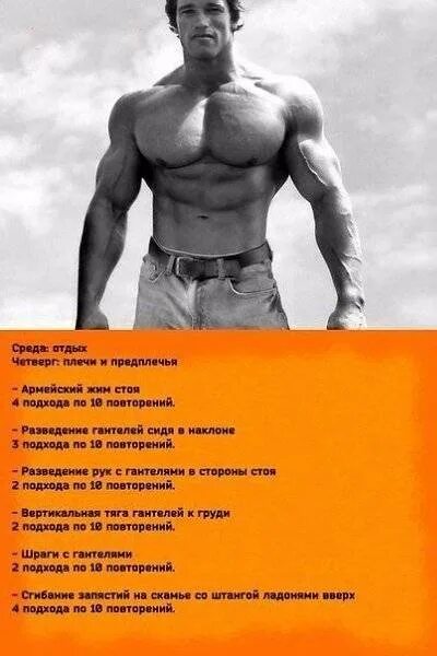 Программа тренировок арнольда. План тренировок арнольда шварценеггера в 19 лет. арнольд шварценеггер программа тренировок на массу. план тренировок шварценеггера на массу. план тренировок арнольда шварценеггера.