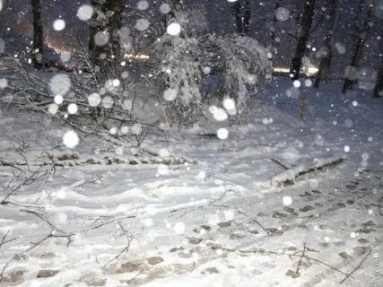 Мокрый снег упадет