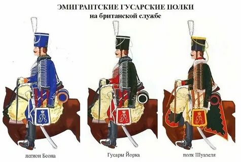 Тона сердца много гусаров