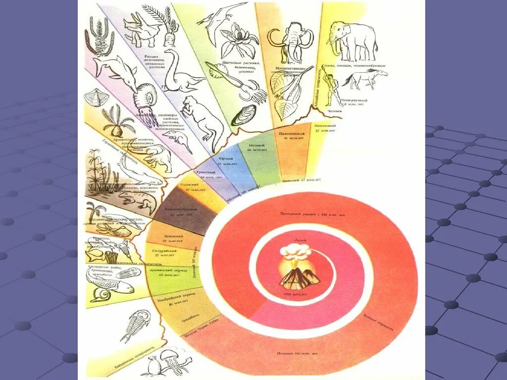 Геохронологическая шкала спираль. Спираль развития жизни на земле. Схема развития жизни на земле. История развития земли. Эры планеты земля