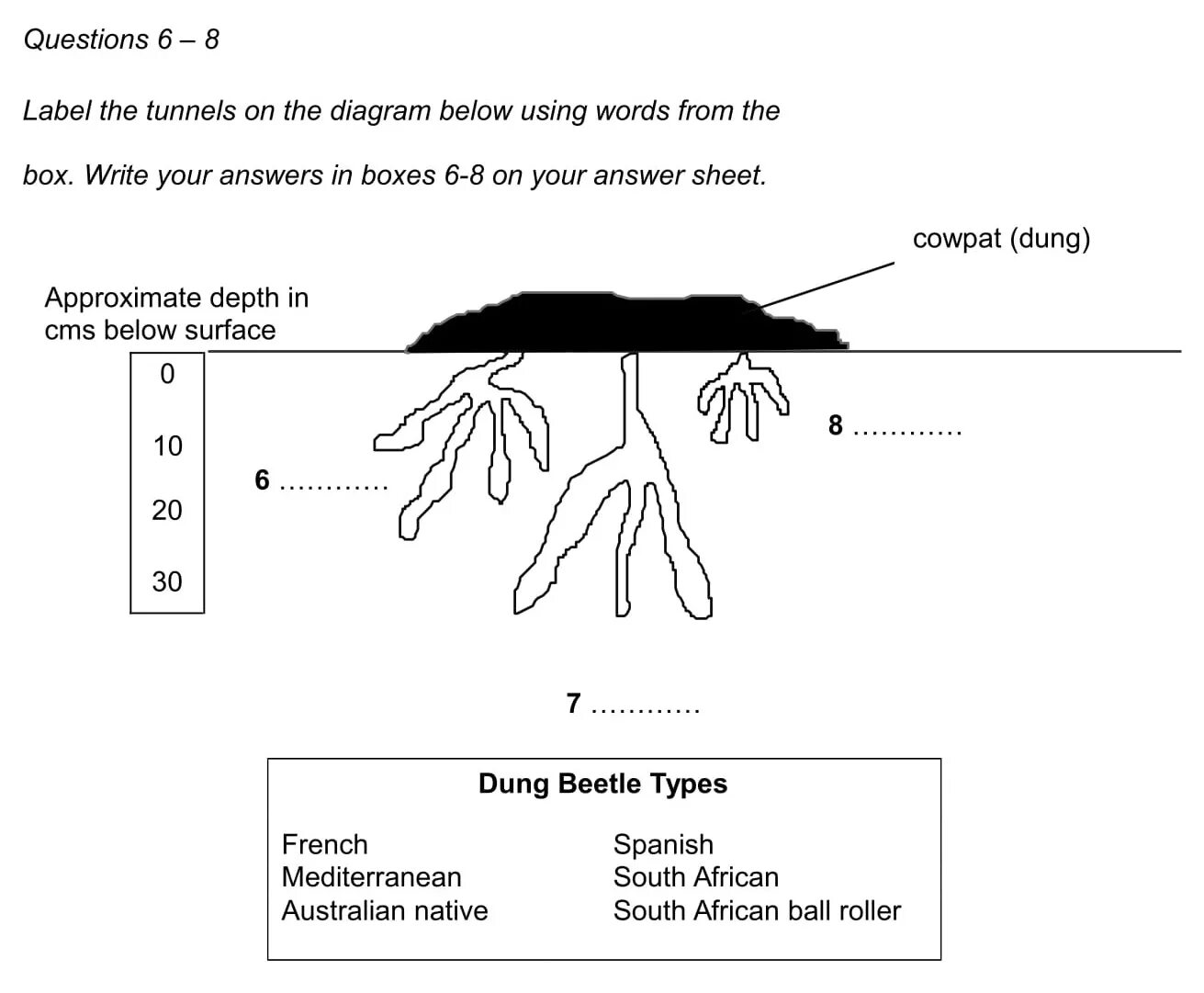 Labelling a diagram IELTS. IELTS reading labelling. Diagram IELTS reading. Diagram labelling. Use the words to label the