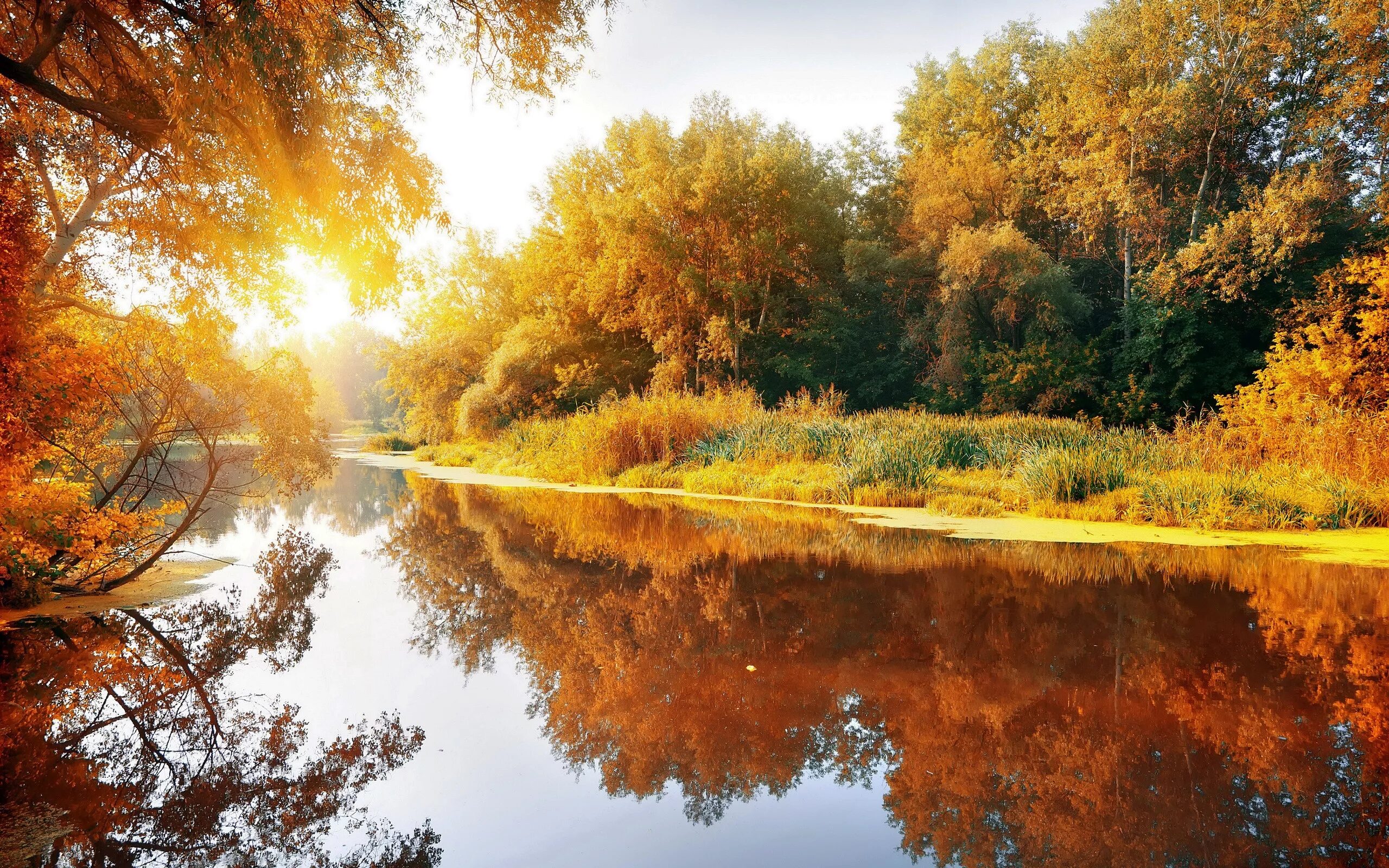 Утро 7 сентября. Природа осень. Осень река. Сентябрь природа. Красивая осень.