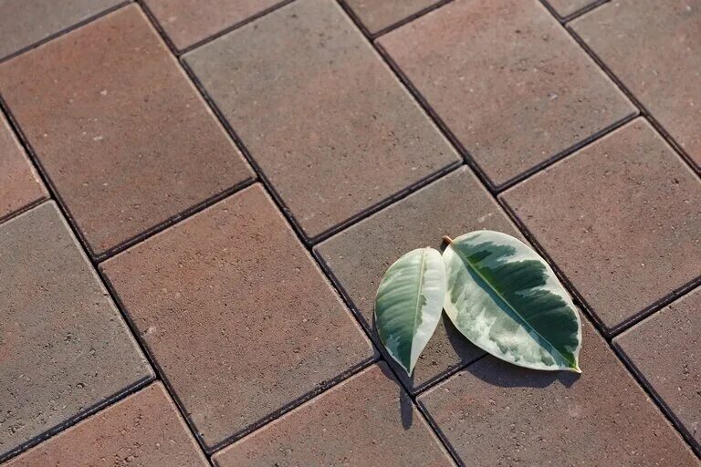 шоу рум тротуарной плитки. шоу рум строительных материалов. мосплитка фучика 9. плитка завр. выбор спб плитка.