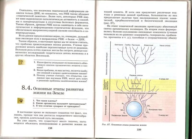 Биология 9 класс каменский криксунов пасечник. Биология 9 класс Введение в общую биологию и экологию Пасечник. Пасечник биология Введение в биологию 9 класс". Биология 9 класс Пасечник Каменский Введение в общую биологию. Биология 9 класс Пасечник Криксунов.