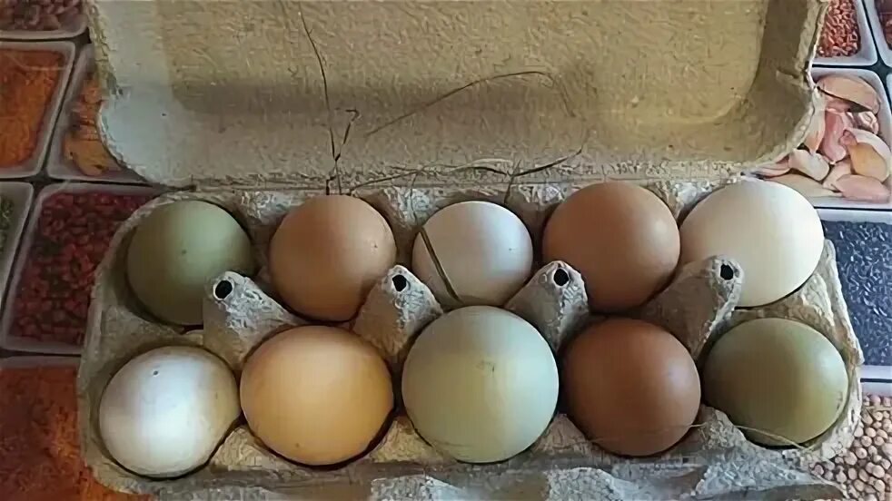 Купить яйца кур несушек для инкубатора