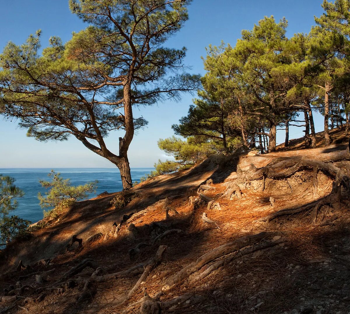 сосновый краснодарский край. джанхот голубая бездна кемпинг. сосновый краснодарский край. джанхот пляж. черное море поселок сосновый.