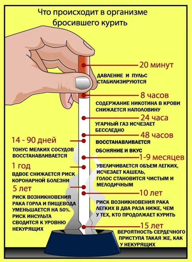 За какое время очищается. Как бросить курить. Если бросить курить. Выведение никотина из организма. После отказа от курения.