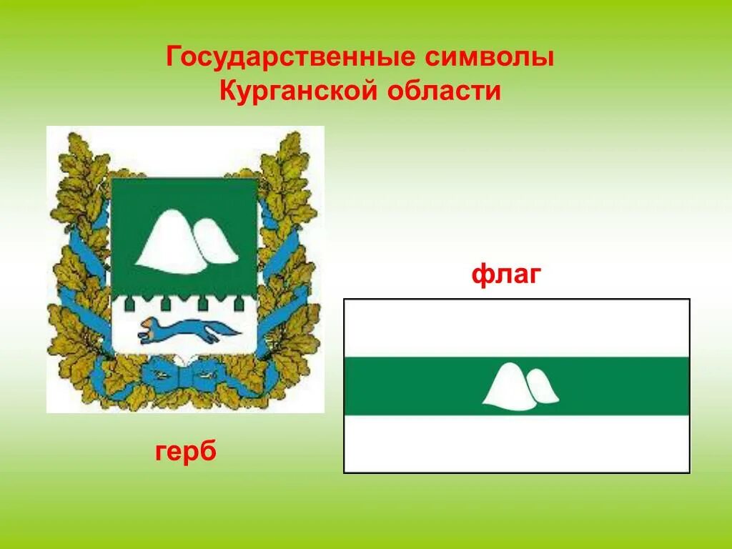 Курганская область какой край. Символы Кургана и Курганской области. Герб и флаг Курганской области. Символы Курганской области герб флаг. Герб Зауралья Курганская область.