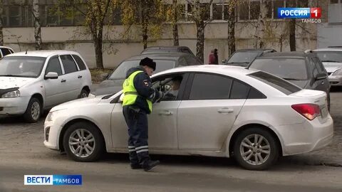 Движение 31
