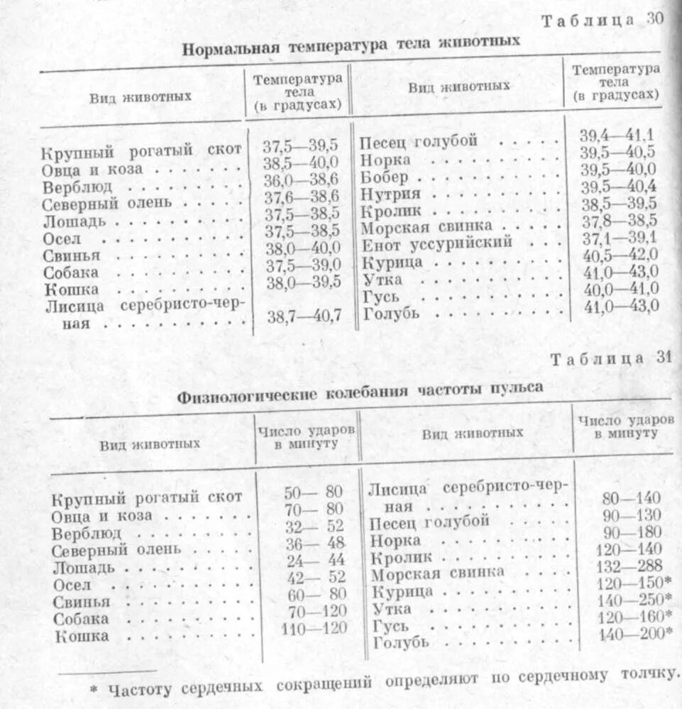 Нормальная температура у собак мелких пород. Крс таблица пульса дыхания. таблица температуры собак. температура тела животных. нормы температуры тела у животных таблица.