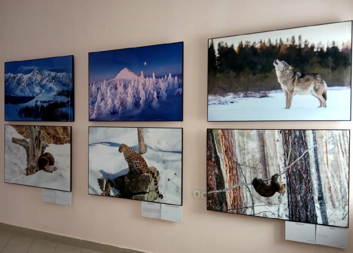 фотовыставка первозданная россия 2023 в москве. первозданная россия. фотовыставка первозданная россия 2022 в москве. россия первозданная 2021 выставка. выставка в москве россия первозданная.