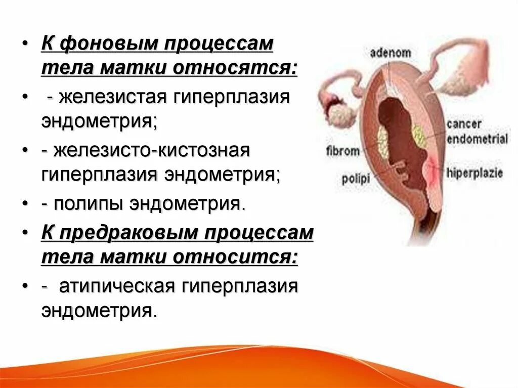 Фоновые процессы тела матки. Фоновые и предраковые заболевания эндометрия. К фоновым заболеваниям эндометрия относится:. Предраковое эндометрий