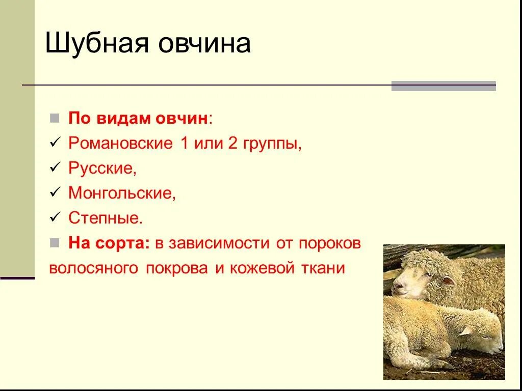 Виды овчины. Сортировка овчинно-шубных товаров. Шубное сырье виды. Особенность шубной овчины.