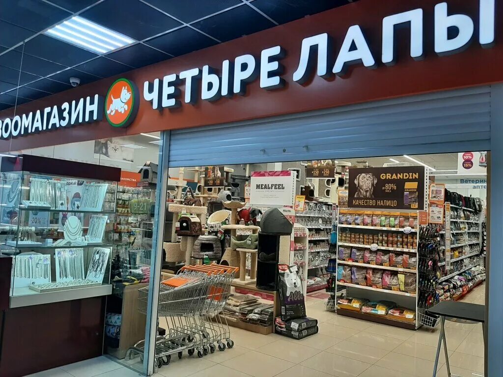 Волгоград рокоссовского ветклиника четыре лапы. Четыре лапы щелково. Магазин четыре лапы волгоград. 4 лапы пушкино. Магазин четыре лапы волгоград.
