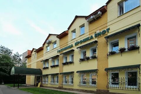 Крошка енот красногорск