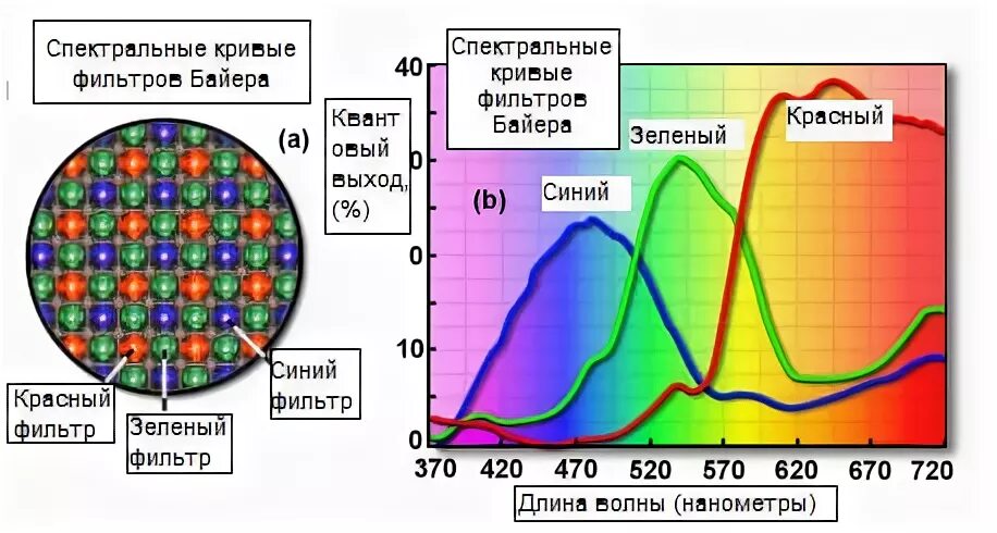 Спектральные кривые