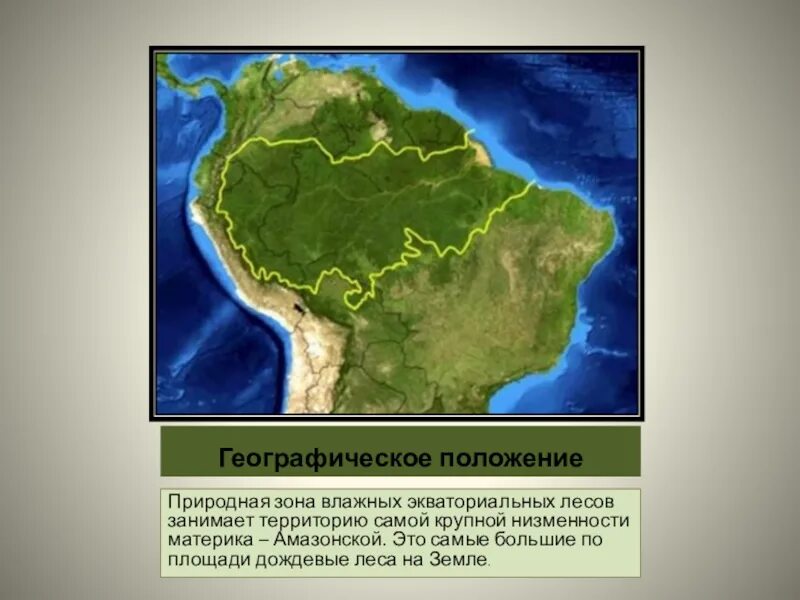 Какая природная зона занимает большую часть материка. Зона влажных экваториальных лесов Южной Америки на карте. Влажные экваториальные леса Южной Америки географическое положение. Географическое положение сельвы. Зона экваториальных лесов Южной Америки на карте.