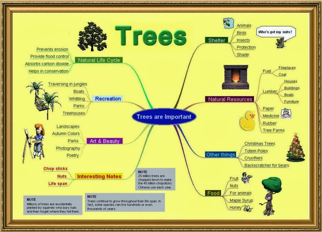 Where are the trees. Why are trees important. why?! дерево. trees important mind map. importance of trees. mind map.