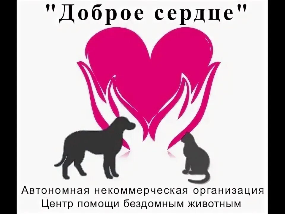 Добрые сердца помощь животным. Организация доброе сердце животные. ано доброе сердце. помощь бездомным животным доброе сердце рисунок. день защиты бездомных животных.