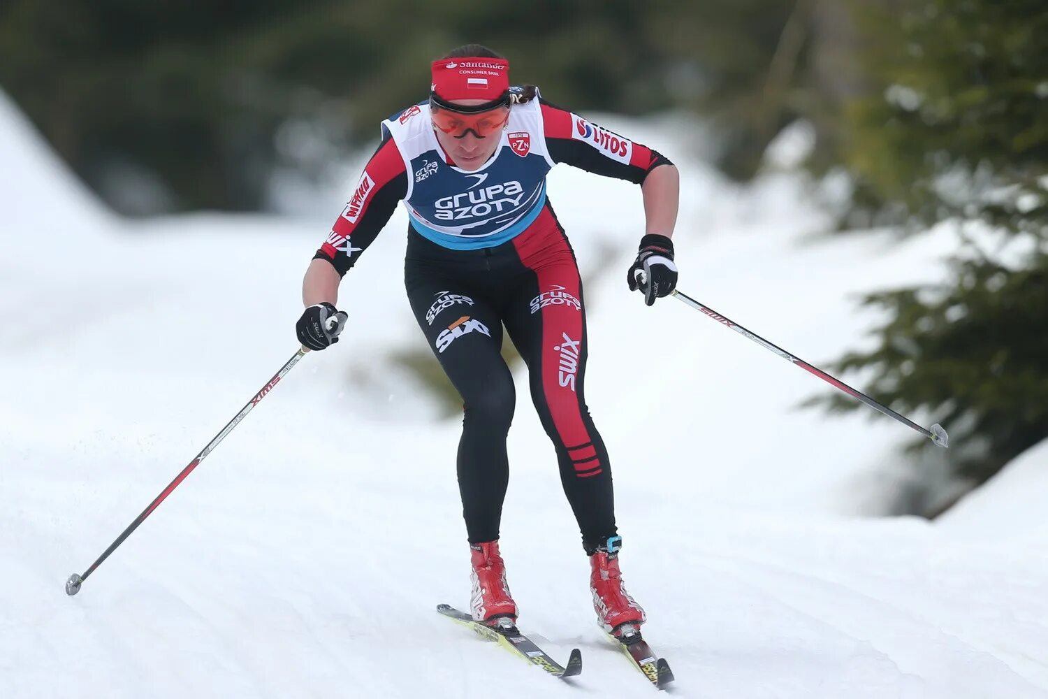 Юстина ковальчик польская лыжница. Юстина. Юстина ковальчик. Польская лыжница ковальчик. Юстина ковальчик в биатлоне.