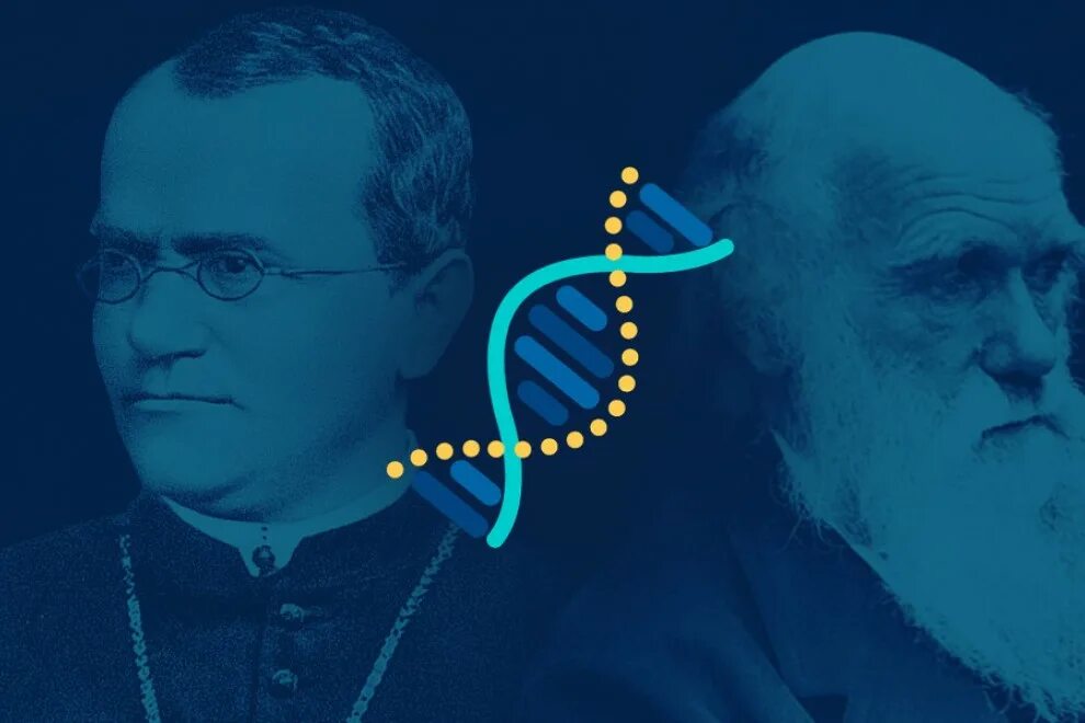 Gregor johann mendel. Дарвин и мендель. Дарвин и мендель. Грегор иоганн мендель генетика. Мендель ученый.