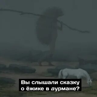 Песня дождь на улице в голове дурман