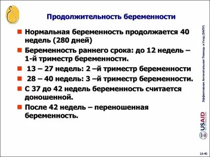 8 месяц беременности это сколько
