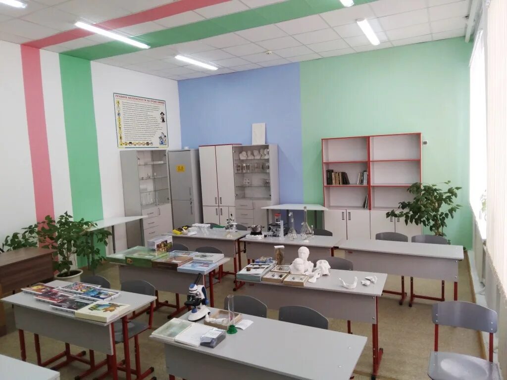 цвета точки роста в школе 2022. точка роста кабинет биологии. расписание кабинета точка роста. точка роста химия. кабинет 242 биология.