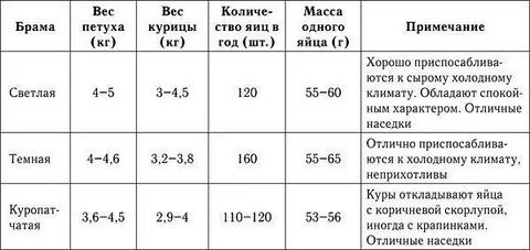 Масса кур