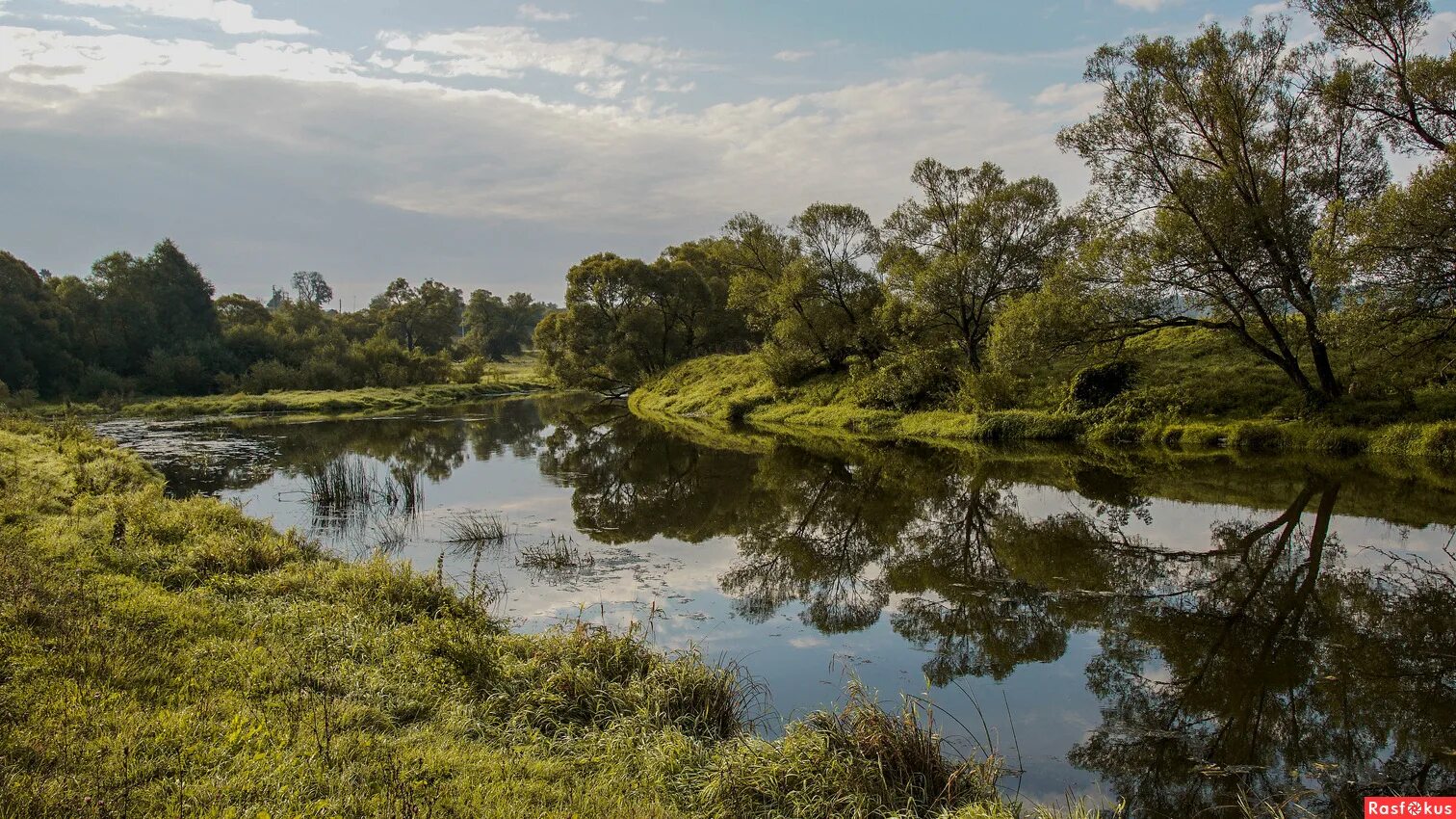 растения и животные реки нара