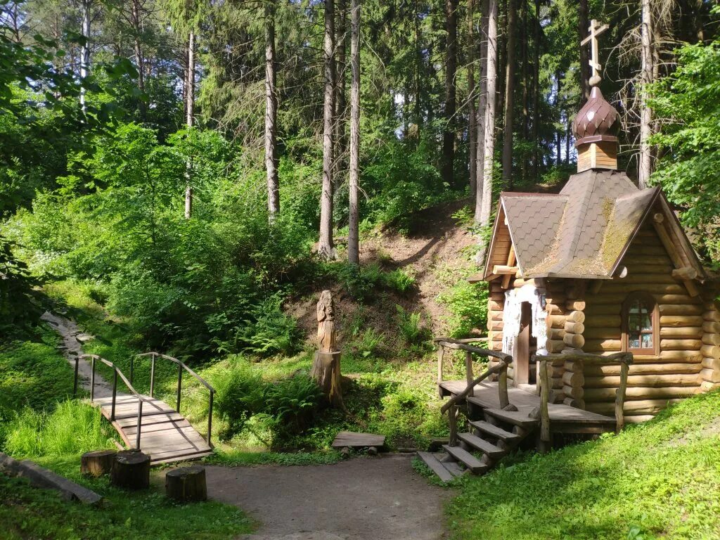 Источник святой ключ. Серебряный ключ Сураж Святой. Суражский район серебряный ключ. Святой источник Сураж серебряный. Святой ключ Сураж источник.