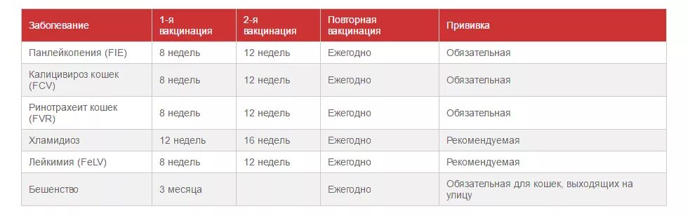 Прививка котенку в 2 месяца вакцина. Прививки кошкам по возрасту таблица. График прививок кошек по возрасту. Прививки котенку до года таблица обязательные. Сколько стоят прививки для кошек