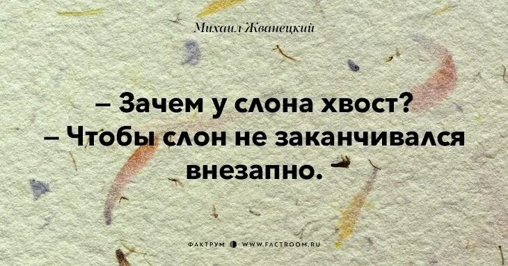 Кончаться внезапно. Жванецкий цитаты. Афоризмы Жванецкого. Фразы Жванецкого крылатые. Шутки Жванецкого.