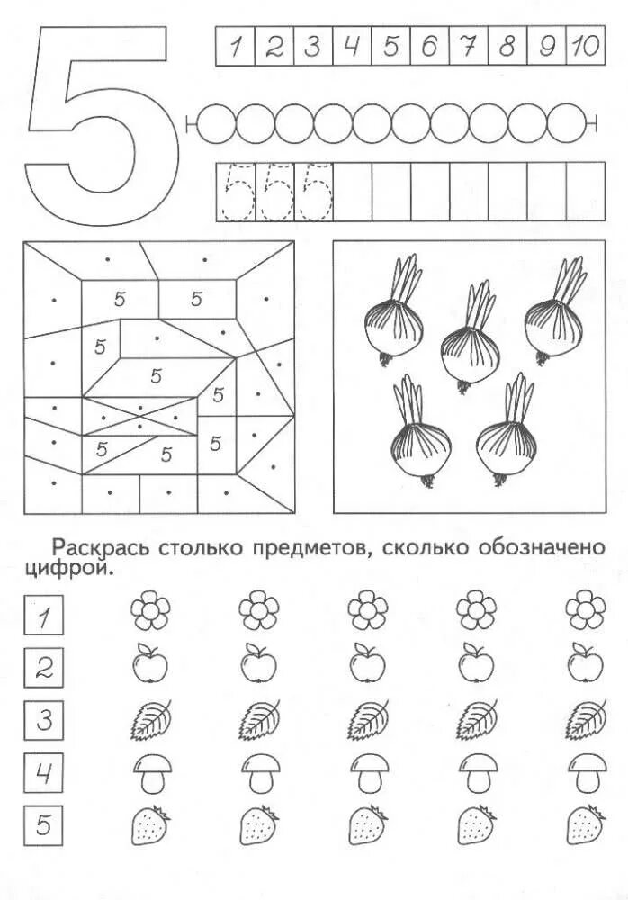 Занятие счет в пределах 10 старшая группа. Число и цифра 5 задания для дошкольников. Изучаем цифру 5 задания для дошкольников. Число 5 задания для дошкольников. Число и цифра 5 для детей 4-5 лет.